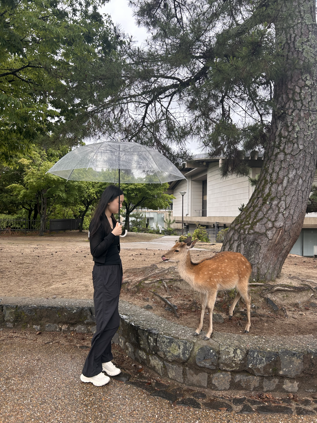 Personal travel photo