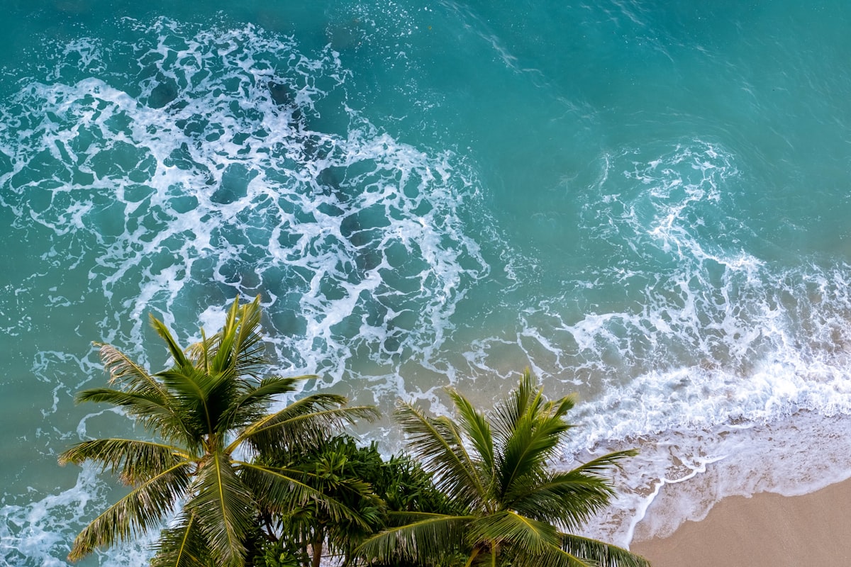 Aerial view of turquoise water and palm trees on a Hawaii beach