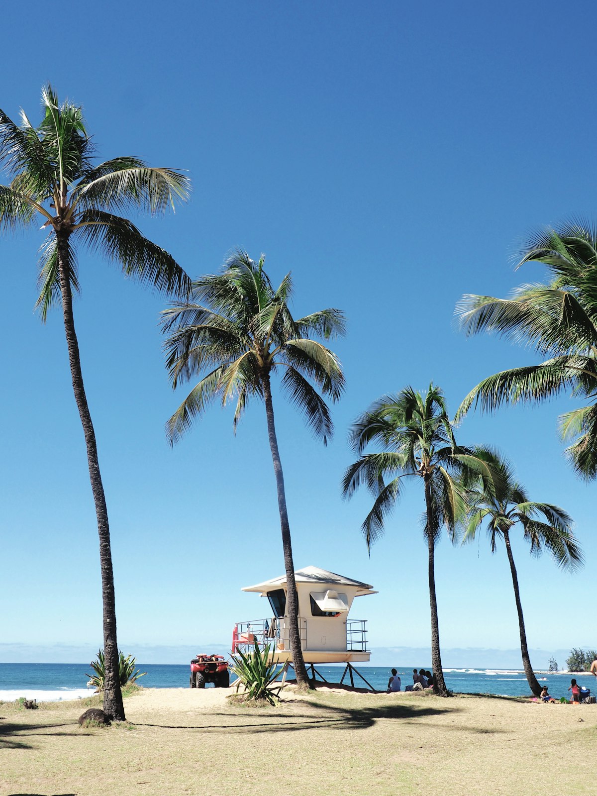 Palm trees and a lifeguard tower on a sunny Hawaii beach